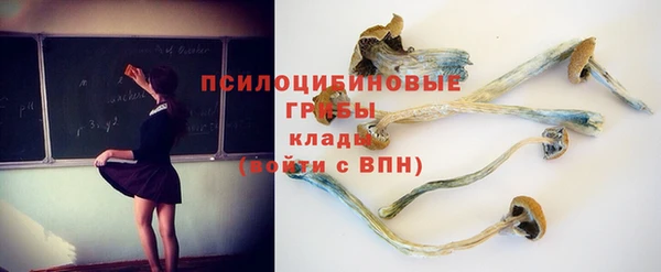 Альфа ПВП Зеленокумск
