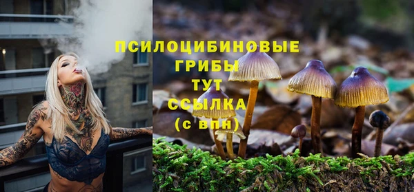 скорость Зеленодольск