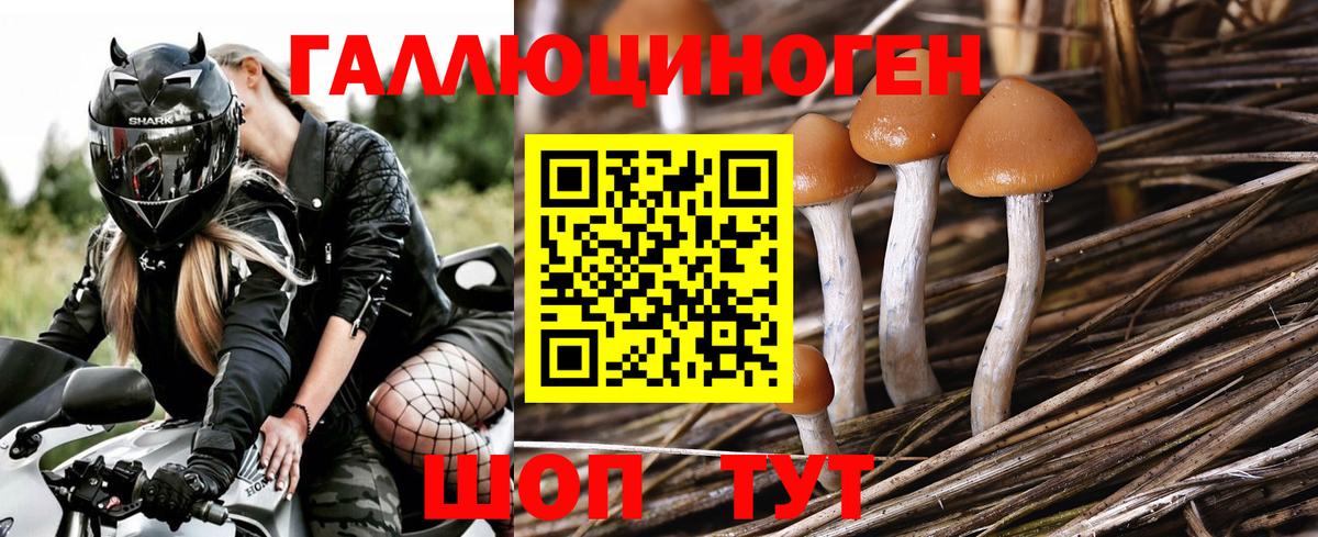 Псилоцибиновые грибы мухоморы  Вход с VPN  Татарск 